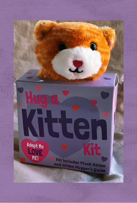Hug A Kitten Stuffie